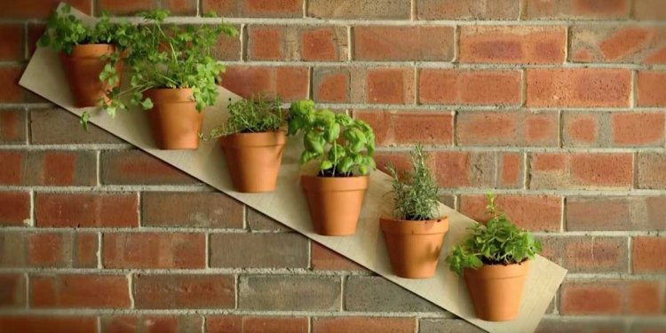 7 Terra Cotta Pot Projects To