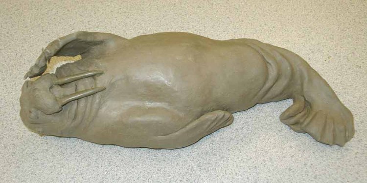 Clay fish, clay walrus